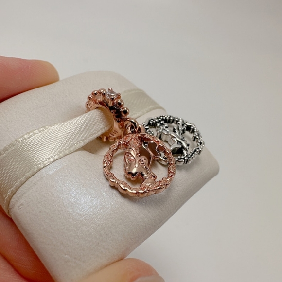 Rose Princess Tiana Dangle Charm - Picture 3 of 4